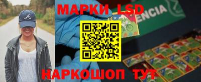 гидропоника Новозыбков