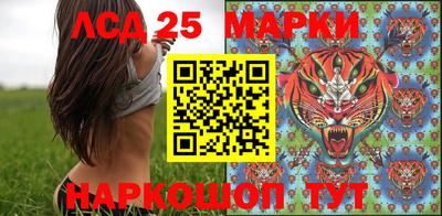 гидропоника Новозыбков