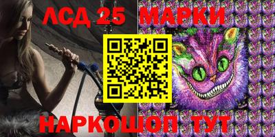 гидропоника Новозыбков