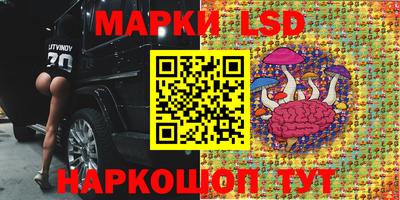 амф Обь