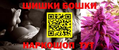 гидропоника Новозыбков
