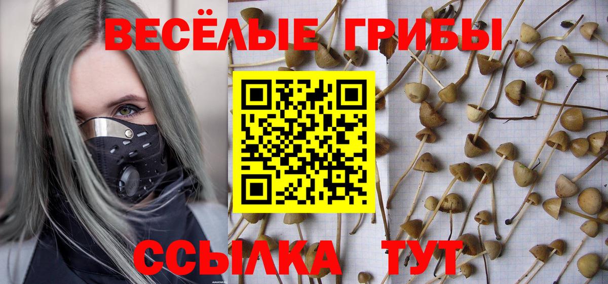 Галлюциногенные грибы ЛСД Улан-Удэ