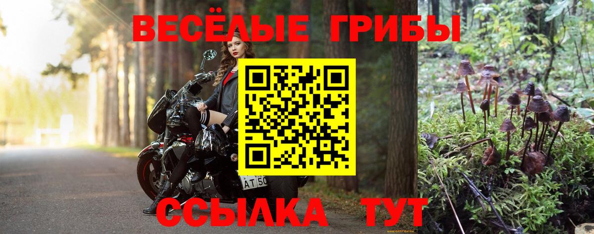 Псилоцибиновые грибы прущие грибы  Псилоцибиновые грибы мухоморы  Улан-Удэ  Вход с VPN 
